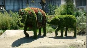 Sculptures végétales admirablement réussies, c’est impressionnant!