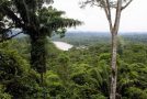 Superbe balade dans la nature en Equateur et magnifique musique!