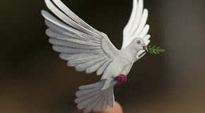 Un couple d’Indiens réalise des oiseaux en papier et c’est merveilleux