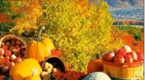 L’automne, une belle saison en couleur, juste pour changer de décor!