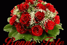 Pour toutes les femmes du monde!