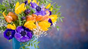 Des fleurs, un beau cadeau pour la journée mondiale des femmes