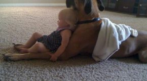Les enfants, les meilleurs amis des chiens!