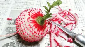 Superbes sculptures sur des fruits et légumes, c’est l’art du Mukimono!