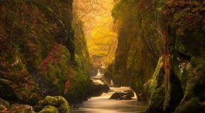 Quand la nature orne les paysages de différents aspects