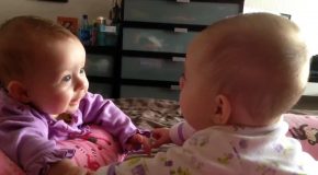 Un amour fraternel très exceptionnel, bébés jumelles qui se tiennent la main et se parlent.