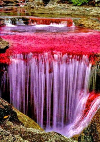 06-caño-cristales-rainbow-river