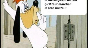 Des citations et des pensées claires et sensées, que tout le monde devrait retenir