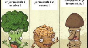 voici 5 images qui n’ont absolument rien en commun