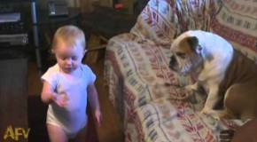 Un bébé donne une bonne leçon de moral à son chien trop fainéant!