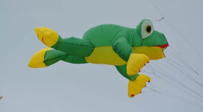 Le plus beau rassemblement de passionnés de cerfs-volants, avec leurs plus belles créations