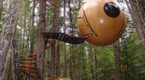 Une maison dans les arbres écologique existe, découvrez-là vite !