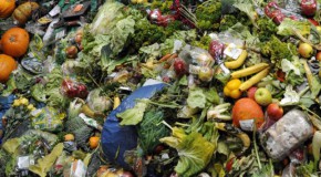 Nouvelle loi contre le gaspillage dans les supermarchés!