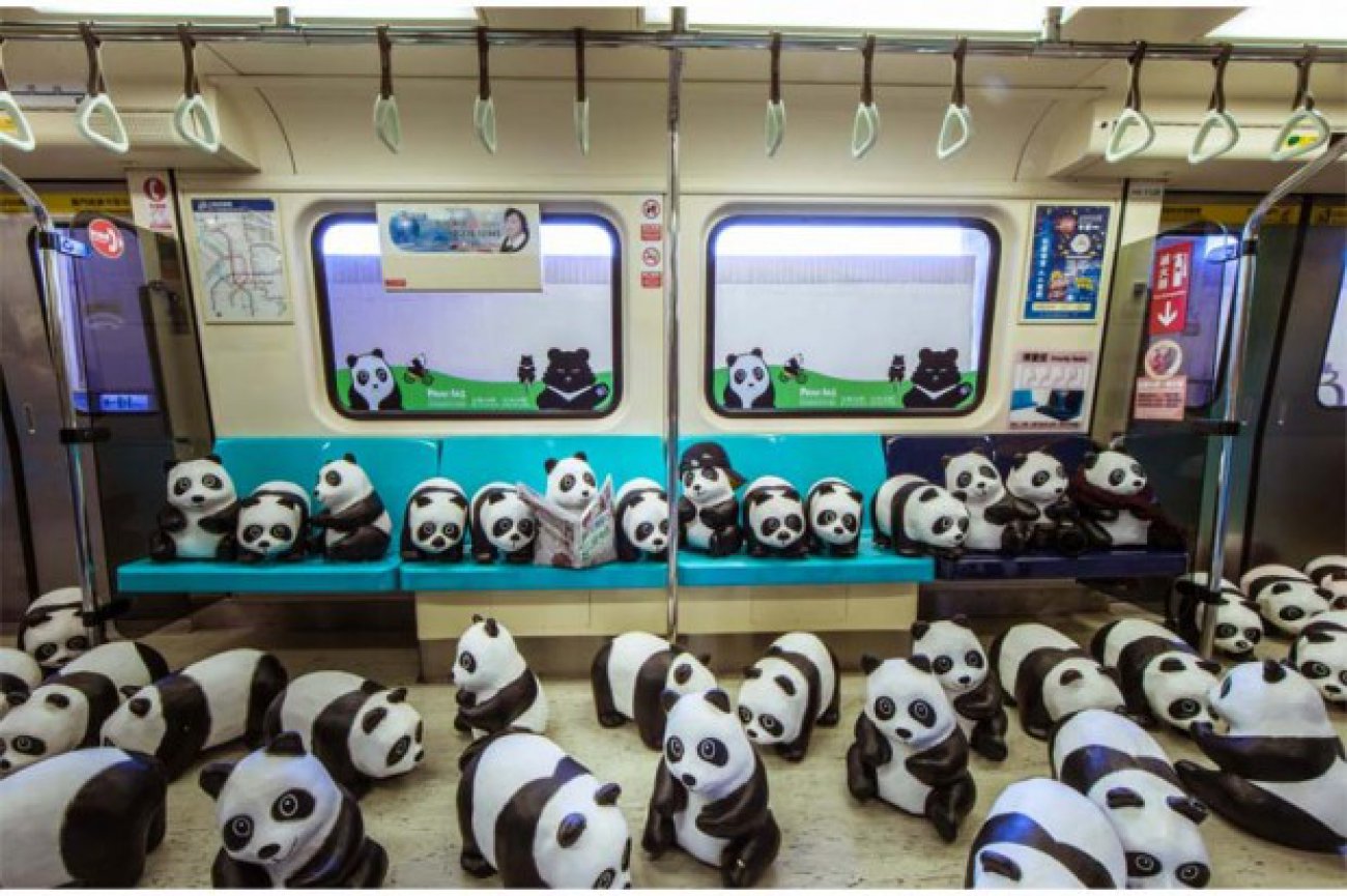 Pandas display. Pandas display. Pandas display. Музей панд в чэнду. Pandas dataframe cheat sheet.